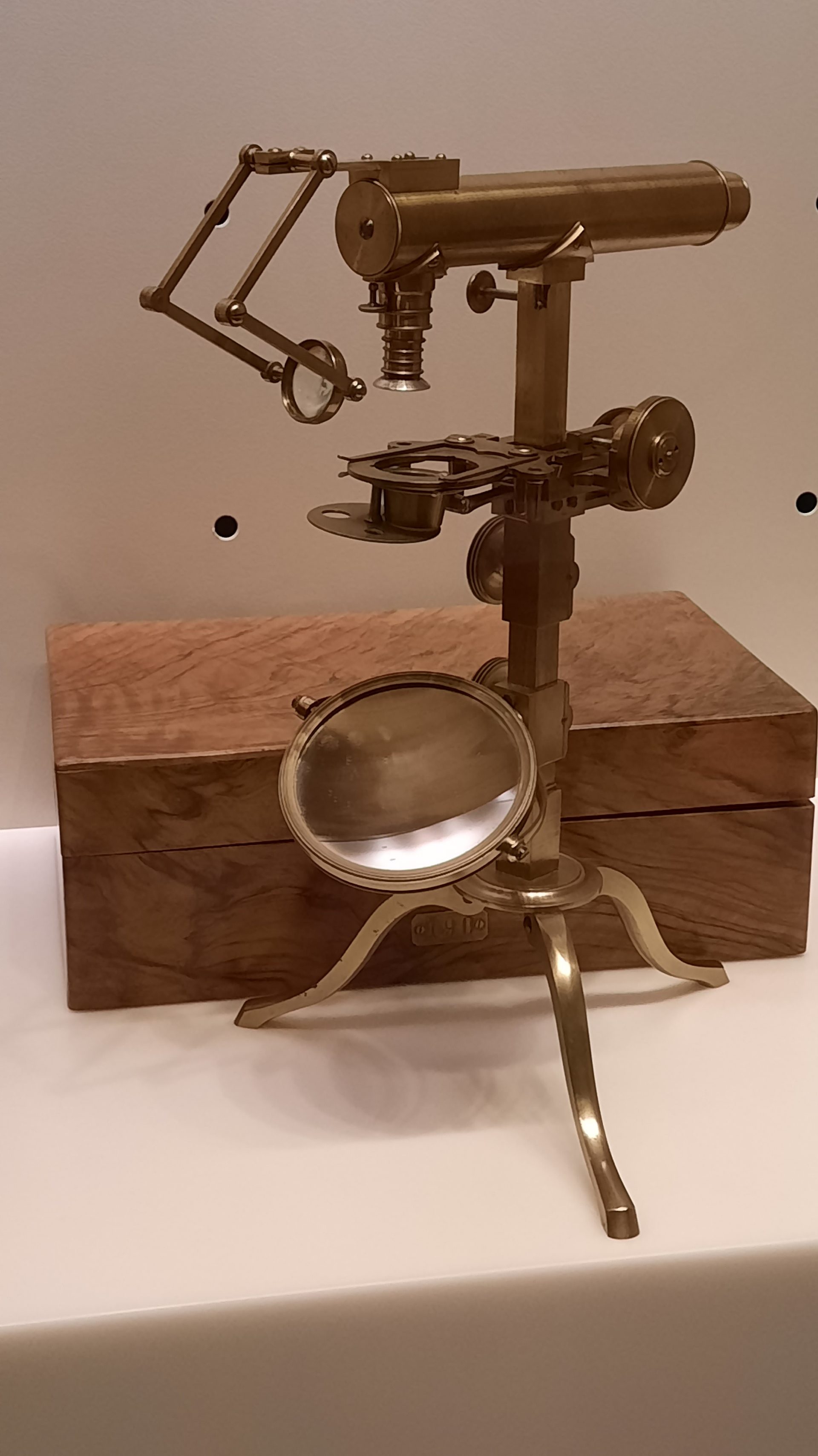 Giovan Battista Amici's microscopes, Museo Galileo, Florence - 05.jpg